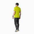 Tricou pentru bărbați DYNAFIT Graphic CO golden lime/tabloid 3