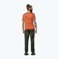 Tricou pentru bărbați Salewa Eagle Vocab bombay brown 3