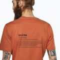 Tricou pentru bărbați Salewa Eagle Vocab bombay brown 4