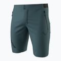 Pantaloni scurți de trekking pentru bărbați DYNAFIT Transalper Light Dynastretch cinder/0910 4
