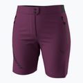Pantaloni scurți de trekking pentru femei DYNAFIT Transalper Light Dynastretch amaranth/0910 4