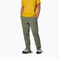 Pantaloni de trekking pentru bărbați Salewa Pedroc 3 DST Light faded green