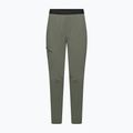 Pantaloni de trekking pentru bărbați Salewa Pedroc 3 DST Light faded green 6