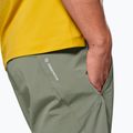 Pantaloni scurți de trekking pentru bărbați Salewa Pedroc DST Light faded green 4