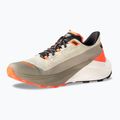 Încălțăminte de alergare pentru bărbați DYNAFIT Ultra 100 V3 rock khaki/overcast 9