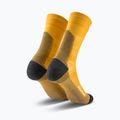 Șosete pentru bărbați Salewa Ortles AM Crew gold 2