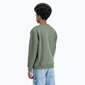 Bluză pentru bărbați Alpha Industries Basic dark olive 5