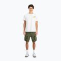Tricou pentru bărbați  Alpha Industries Pearl Harbor Back Print white 2