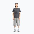 Tricou pentru bărbați  Alpha Industries Hawaii vintage grey 2