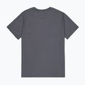 Tricou pentru bărbați  Alpha Industries Hawaii vintage grey 8
