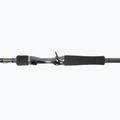 Daiwa Prorex XR BaitCast tijă de spinning Daiwa Prorex XR BaitCast negru 11339-210 3