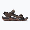 Sandale de trekking pentru bărbați Jack Wolfskin Lakewood Cruise maro 4019011 2