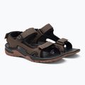 Sandale de trekking pentru bărbați Jack Wolfskin Lakewood Cruise maro 4019011 4