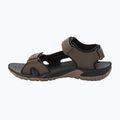 Sandale de trekking pentru bărbați Jack Wolfskin Lakewood Cruise maro 4019011 12