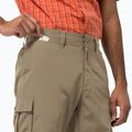 Pantaloni scurți de drumeție Jack Wolfskin Canyon Cargo pentru bărbați, maro 1504201_5605_048 4