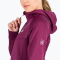 Jack Wolfskin pulover pentru femei Hydro Grid Fleece roz 1709911 5