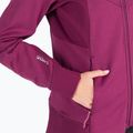 Jack Wolfskin pulover pentru femei Hydro Grid Fleece roz 1709911 6