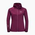 Jack Wolfskin pulover pentru femei Hydro Grid Fleece roz 1709911 7