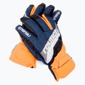 Mănuși de schi Reusch Dario R-TEX XT 49/61/212/4432 4