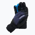 Mănușă de schi Reusch Blaster GTX negru/albastru 61/01/329