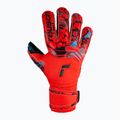 Mănuși de portar Reusch Attrakt Gold X Evolution Cut Finger Support roșu 5370950-3333 4