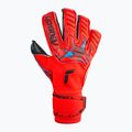 Mănuși de portar Reusch Attrakt Gold X Evolution Cut roșu 5370964-3333 4