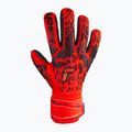 Mănuși de portar Reusch Attrakt Freegel Silver roșu 5370235-3333 4