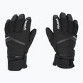 Reusch Blaster Blaster Gore-Tex mănușă de schi negru/alb 3