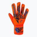 Mănuși de portar Reusch Attrakt Starter Solid de culoare roșu aprins/future albastru pentru portar 2