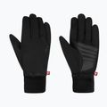 Mănuși de schi Reusch Walk Stormbloxx Touch-Tec black
