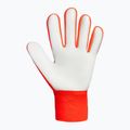 Mănuși de portar Reusch Attrakt Starter Solid shocking orange/blue 3