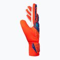 Mănuși de portar Reusch Attrakt Starter Solid shocking orange/blue 4