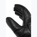 Mănuși de schi Reusch Legacy R-Tex XT black 5