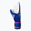 Mănuși de portar Reusch Attrakt Gold X NC sharp blue/white/shocking orange 4