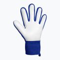 Mănuși de portar Reusch Attrakt Starter Solid sharp blue/white/shocking orange 3
