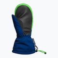 Mănuși de schi pentru copii Reusch Maxi R-Tex XT Mitten surf the web/green gecko 3