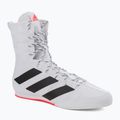 Încălțăminte de box Adidas Box Hog 3, alb, GV9975