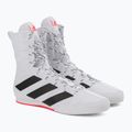 Încălțăminte de box Adidas Box Hog 3, alb, GV9975 5