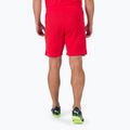 Pantaloni scurți de fotbal pentru bărbați PUMA Teamrise roșu 70494201 2