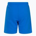 Pantaloni scurți de fotbal pentru copii PUMA Teamrise albastru 70494302 2