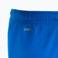 Pantaloni scurți de fotbal pentru copii PUMA Teamrise albastru 70494302 4