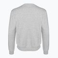 Bărbați FILA Brustem Crew Sweatshirt gri deschis melange 5