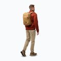 Rucsac de oraș Jack Wolfskin Taubenberg 20 l dunelands 7