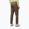 Pantaloni de trekking pentru bărbați Jack Wolfskin Prelight Pro cold coffee 2