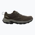 Încălțăminte de trekking Jack Wolfskin Vojo Tour Texapore Low cold coffee 8