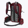 Rucsac turistic  Jack Wolfskin Cyrox Shape 20 l deep ruby 2