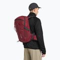 Rucsac turistic  Jack Wolfskin Cyrox Shape 20 l deep ruby 5