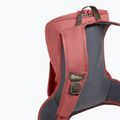 Rucsac de oraș pentru femei Jack Wolfskin Waimea 15 l mineral red 6
