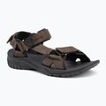 Sandale pentru bărbați Jack Wolfskin Lakewood Ride cold coffee