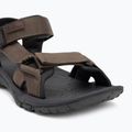 Sandale pentru bărbați Jack Wolfskin Lakewood Ride cold coffee 7